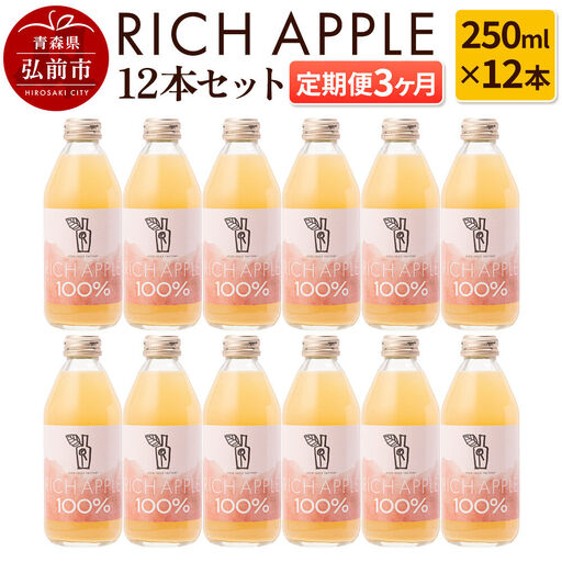 【寄附金額見直しました】【定期便3ヶ月】RICH APPLE りんごジュース12本セット（250ml×12本×3回）【飲料類 果汁飲料】