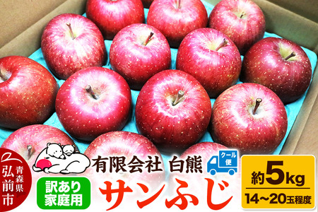 【寄附金額見直しました】【26年4月発送・先行受付・クール便】りんご 訳あり家庭用 白熊 サンふじ 約5kg（14～20玉程度）糖度13度 CA貯蔵 林檎 リンゴ 果物 くだもの フルーツ 青森