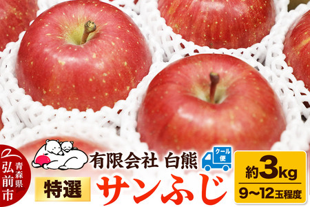 【寄附金額見直しました】【26年4月発送・先行受付・クール便】りんご 特選 白熊 サンふじ 絆 約3kg（9～12玉程度）糖度13度 CA貯蔵 林檎 リンゴ 果物 くだもの フルーツ 青森