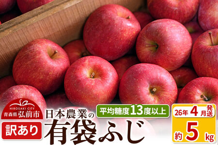 【26年4月発送】りんご 平均糖度13度以上！ 有袋ふじ 約5kg 訳あり CA貯蔵 クール便 青森 果物 フルーツ 林檎 リンゴ くだもの 不揃い 規格外