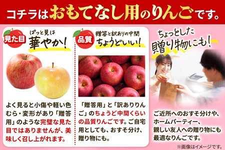 【26年4月発送】りんご 平均糖度13度以上！ 有袋ふじ 約5kg おもてなし用 CA貯蔵 クール便 青森 果物 フルーツ 林檎 リンゴ くだもの