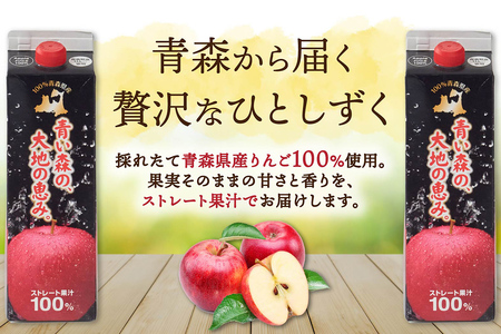 【寄附金額見直しました】りんごジュース 1L×12本 ストレート果汁100％ 青森県産 弘前市