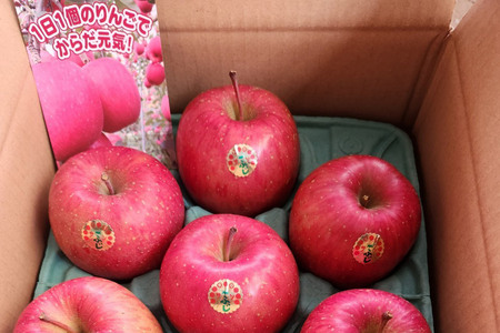 【26年1月~発送】りんご 葉とらずサンふじ 約3kg 贈答用 ちとせ村