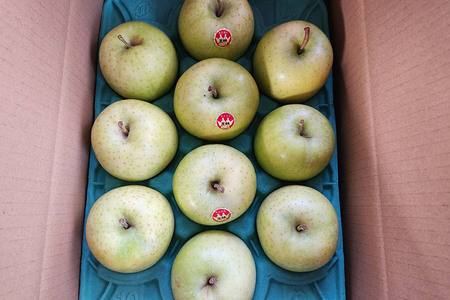 【26年1月~発送】りんご 王林 約3kg 贈答用 ちとせ村