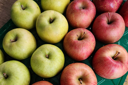 【26年1月~発送】りんご 葉とらずサンふじ & 王林 詰め合わせ 約5kg 家庭用 訳あり ちとせ村