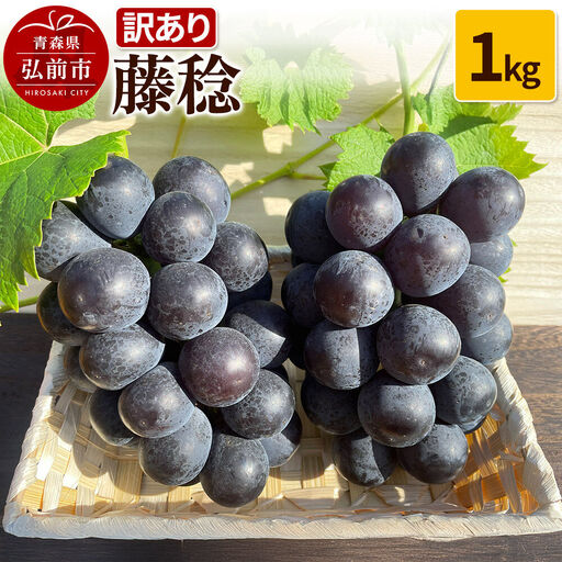 【寄附金額見直しました】【26年9月～発送】 【訳あり】 藤稔 1kg【先行受付】 ぶどう フルーツ 果物 ブドウ 葡萄 グレープ くだもの 産地直送