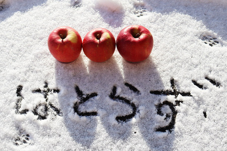 【25年12月~発送】りんご 葉とらず ふじ【家庭用】約5kg ゴールド農園