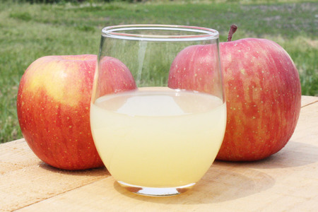  りんごジュース ストレート果汁【林檎園】1000ml×6本 紙パック ゴールド農園 かめあし商店