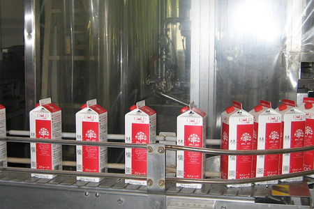  りんごジュース ストレート果汁【林檎園】1000ml×6本 紙パック ゴールド農園 かめあし商店