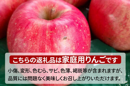 【26年11月下旬発送】りんご 葉とらずサンふじ【訳あり】家庭用 約10kg