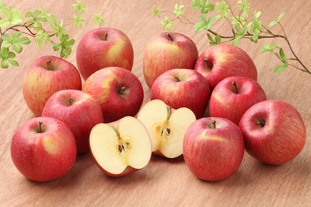 【26年3月クール便発送】りんご 葉取らずサンふじ【訳あり】約5kg キタエアップル