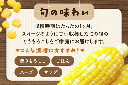 嶽きみ真空パック Mサイズ 10本 しらかみラボ