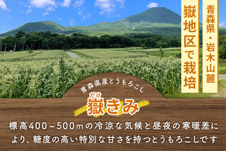 嶽きみ真空パック Mサイズ 20本 しらかみラボ