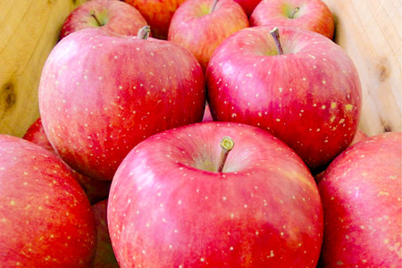 りんご サンふじ【訳あり】約3kg しらかみラボ