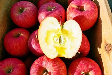 りんご サンふじ【訳あり】約3kg しらかみラボ