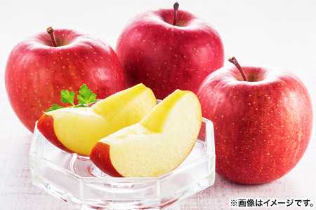 【25年12月～発送】りんご 【糖度13度以上】サンふじ 約3kg 【秀品】 青森県 フルーツ 果物