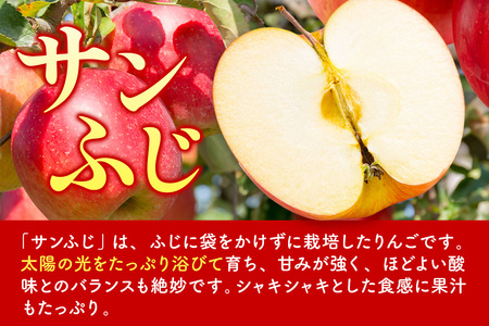 【寄附金額見直しました】りんご 【糖度13度以上】サンふじ 約5kg 【秀品】 青森県 フルーツ 果物
