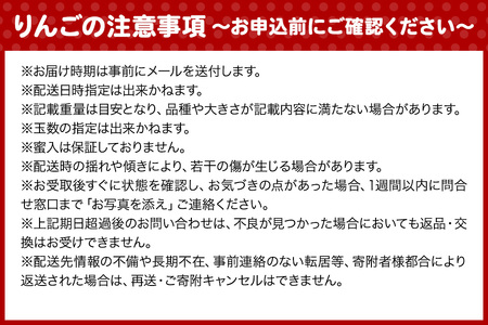 りんご 【糖度13度以上】サンふじ 約10kg 【秀品】 青森県 フルーツ 果物