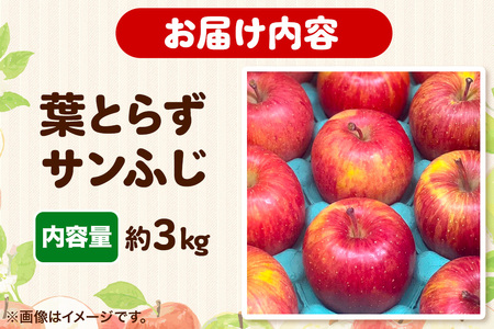 りんご 【糖度13.5度以上】サンふじ 約3kg 葉とらず 青森県 フルーツ 果物