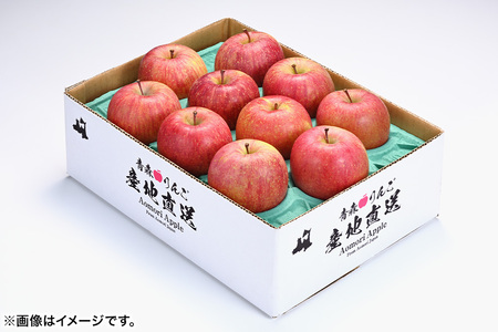 りんご 【糖度13.5度以上】サンふじ 約5kg 葉とらず 青森県 フルーツ 果物