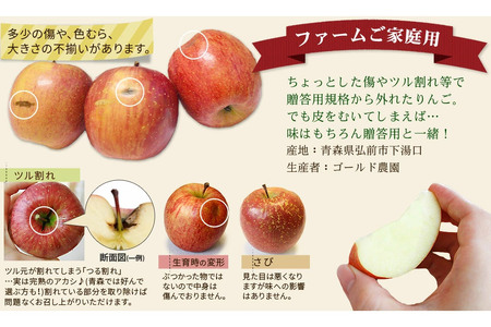 【25年12月～発送】《定期便2ヶ月》りんご 葉とらず ふじ《家庭用》約5kg ゴールド農園