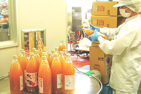 無添加 りんごジュース 4種詰め合わせ(ブレンド・ふじ・王林・シナノゴールド)1L×6本 JA相馬村