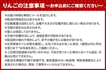 【25年12月発送】りんご ふみ丸ファーム 最高等級「特選」 サンふじ 約3kg 青森 弘前 林檎 リンゴ 赤色