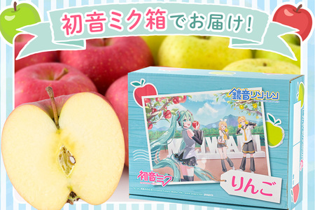 【26年1月発送】りんご【数量限定】贈答用 サンふじ&王林 約3kg 初音ミク オリジナルデザイン 化粧箱入り