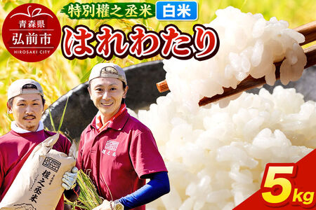 【寄附金額見直しました】はれわたり 5kg ［白米］ 特別權之丞米 青森県産 令和7年産