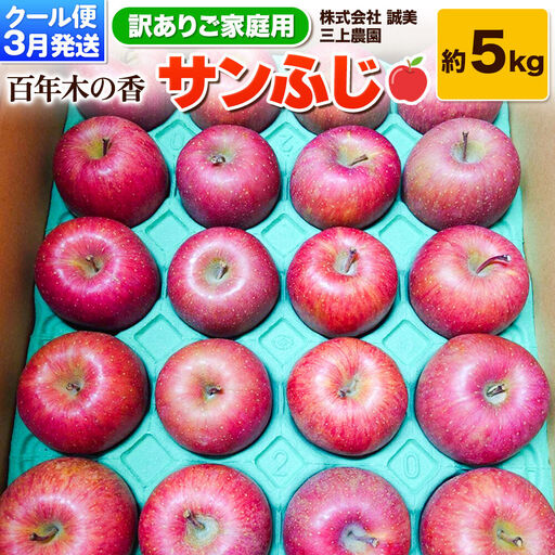 【26年3月クール便発送】りんご サンふじ 約5kg【訳あり】家庭用 百年木の香 三上農園