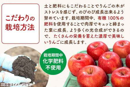 無添加 りんごジュース 王林 1L×3本 カワムラファーム