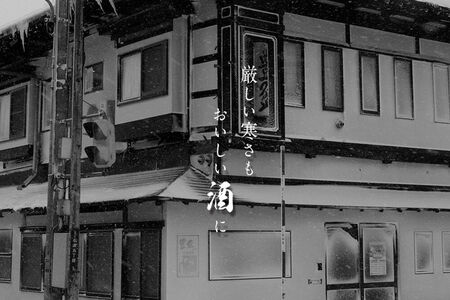 【2026年11月発送】《ふるなび限定》豊盃 純米しぼりたて（生酒） 720ml×1本