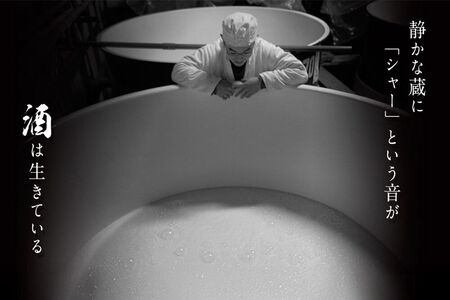 【2026年11月発送】《ふるなび限定》豊盃 純米しぼりたて（生酒） 720ml×1本