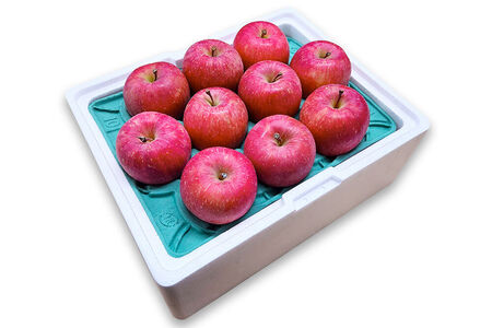 【26年4月クール便発送】りんご サンふじ･王林【良品】約3kg【CA貯蔵】キタエアップル