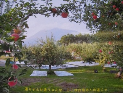 岩木山観光りんご園 プレミアムりんごジュース・りんご酢1L×4本セット【弘前産・青森りんご】