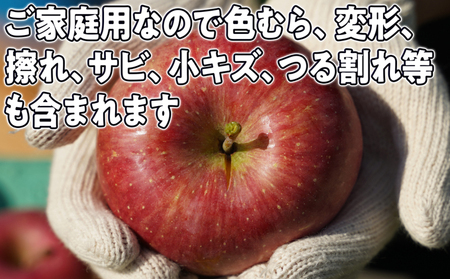 1月～3月発送 家庭用 旬のリンゴ詰め合わせ 約5kg 糖度13度以上【弘前市産・青森りんご 果物類 林檎  】