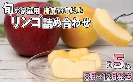 8～12月発送【家庭用】旬のリンゴ詰め合わせ 約5kg 糖度13度以上【弘前市産・青森りんご】