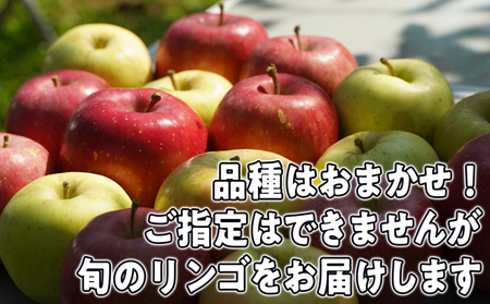 9月～12月発送 家庭用 旬のリンゴ詰め合わせ 約5kg 糖度13度以上【弘前市産・青森りんご 果物類 林檎  】