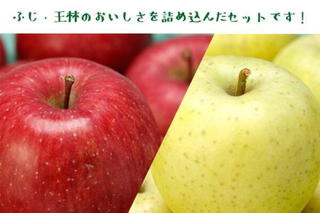 【25年11月～発送】りんご（サンふじ ・ 王林 各3玉）と無添加りんごジュース（1L×2本）詰め合わせ JA相馬村