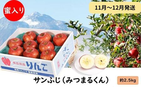 りんご 【11月～12月発送】 蜜入り サンふじ （ みつまるくん ）約 2.5kg 糖度13度以上 【 弘前市産 青森りんご  果物類 林檎 リンゴ  】