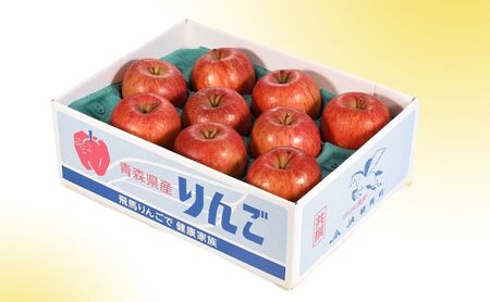 りんご 【11月～12月発送】 蜜入り サンふじ （ みつまるくん ）約 2.5kg 糖度13度以上 【 弘前市産 青森りんご  果物類 林檎 リンゴ  】