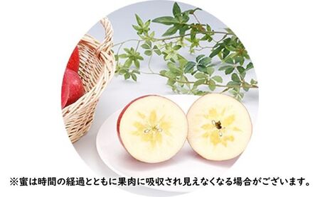 りんご 【 1月発送 】 サンふじ （ みつまるくん ）約 2.5kg 糖度13度以上 【 弘前市産 青森りんご  果物類 林檎 リンゴ  】