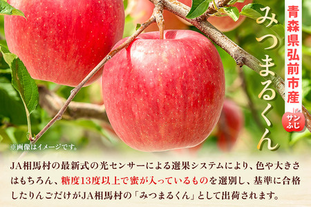 【25年11月~発送】りんご 蜜入り サンふじ(みつまるくん)&シナノゴールド セット 約 5kg