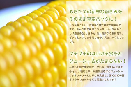  とうもろこし 嶽きみ真空パック10本セット（L～2Lサイズ）