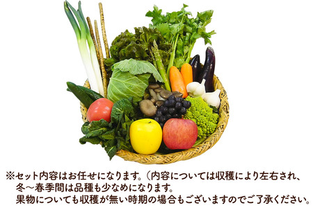 【寄附金額見直しました】野市里からの贈り物（旬の野菜、加工品約10～14種類程度）