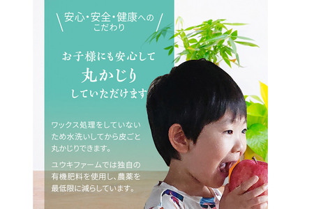  ユウキファーム 39りんごジュース セット 500ml × 2本