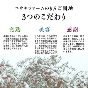 りんご 【 数量限定 】12月発送 雪完熟りんご 最高等級 蜜入り 糖度13度以上 「特選」弘前市産 サンふじ 約 5kg 16～18個 【 弘前市産 青森りんご  果物類 林檎 リンゴ  】