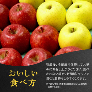 りんご 【 数量限定 】1～3月発送 雪完熟りんご 最高等級 糖度13度以上 「特選」弘前市産 サンふじ 約 5kg 16～18個【 弘前市産 青森りんご  果物類 林檎 リンゴ  】