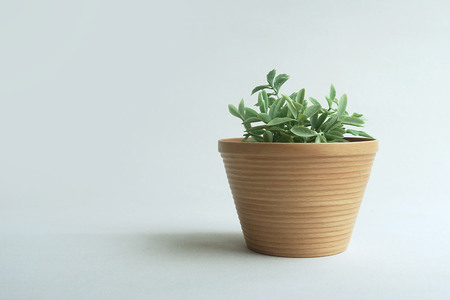  BUNACO ラウンドボックス（ライトブラウン）1個