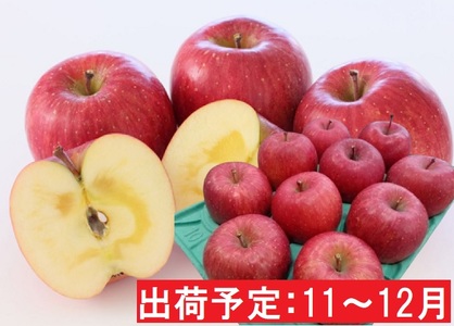 11～12月 贈答規格 蜜入りEMサンふじ約3kg 糖度13度以上　【弘前市産・青森りんご・11月・12月】